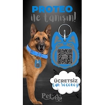 Petjoo 24.Proteo Gri-Mavi Qr'lı Köpek Künyesi