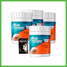 Vaveni Playboy Turquoise Tüylere Krem 4lü Birden Ceviz & Ceviz Sütü Rus Merhemi 50 Ml + Yanında Jel Arz