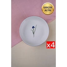Çok Renkli