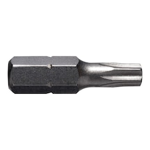 Gfb 2520 Tork Bits Uç T30 30mm