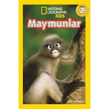 Maymunlar National Geographic Yay