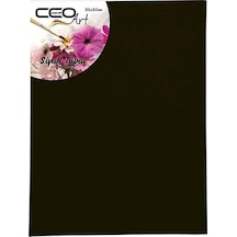 Ceoart 35x50 Siyah Tuval Ceo-tu0009