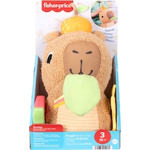 Fisher-price Yumuşak Kapibara Hyr54