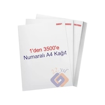 1 Den 3500 E Numaralı A4 Fotokopi Kağıdı