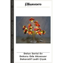 Çok Renkli