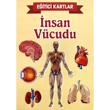 İnsan Vücudu Eğitici Kartlar - Etkinlik Kartları