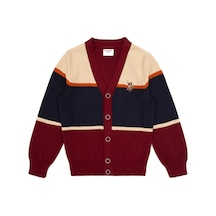 U.S. Polo Assn. Erkek Çocuk Bordo Hırka Triko 50317116-vr014