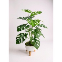 Yapay Çiçek Salon Bitkisi Monstera 70cm 18 Yaprak Beyaz Zigon Saksıda Yeşil