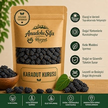 Anadolu Şifa Harput Karadut Kurusu Doğal Katkısız Kurutulmuş Dried Black Mulberry 500 G