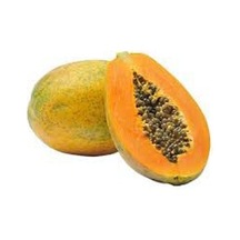 3 Adet Tohum İthal Tropikal Bodur Papaya Ağacı Tohumu + To