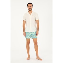 Mint Yeşili