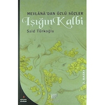Işığın Kalbi / Said Türkoğlu