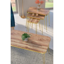 Zigon Sehpa Kr Ve Orta Sehpa Kr Set Gold Ceviz Tel 1108 Diğer