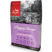 Orijen Puppy Large Tahılsız Büyük Irk Yavru Köpek Maması 11.4 KG