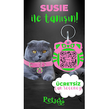 Petjoo 3.Susie Yeşil-Pembe Qr'lı Kedi Künyesi