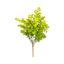 Yapay Bitki Okaliptus Açık Yeşil 40 Cm. Çok Renkli
