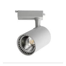 30 Watt Gün Işığı Beyaz Kasa Ray Spot