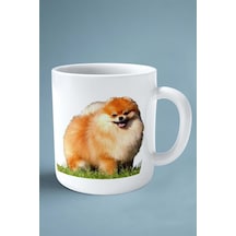 Spitz Köpek Isimli Kişiye Özel Baskılı Kupa Bardak Yeşil Çim Çok Renkli