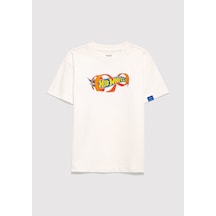 Ekru