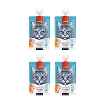 Wanpy Taze Tavuklu & Havuçlu Kedi Et Ezmesi 4 x 90 G