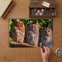 Uyuyan Baykuşlar Tasarımı 240 Parça Ahşap Puzzle Ahşap Kutuda Mpy50318