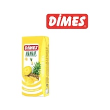 Meyveli İçecek Ananas 200ml