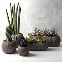 Mercan Saksı Set Dekoratif Drenajlı Çizgili Mat 5 Parça, Kahve Diğer