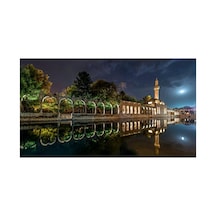 Balıklıgöl Çerçevesiz 50x65 Sayılarla Boyama Hobi Seti
