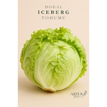 Doğal Iceberg Göbek Marul Tohumu 200 Ad Ata Tohum