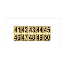 Metal Kapı,masa,dolap Numarası 20cmx20cm 10 Adet (41…50) Altın Renk Metal