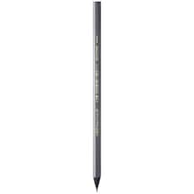 Bic Evolution Kurşun Kalem Siyah 896017 Diğer