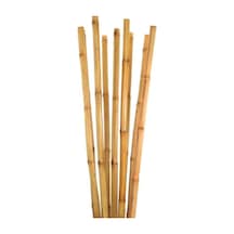 20 Adet Bambu Bitki Fidan Destek Çubuğu 1 Metre