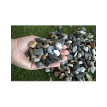 Garden Moda Dere Çakıl Taşı 4 Kg 7-15 Mm Mıcır Dere Taşı Dolomit Taş Teraryum Akvaryum Taşı Pey Diğer