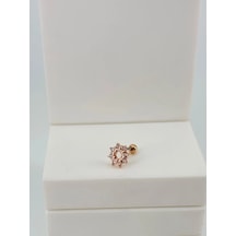 Rose Zirkon Taşlı Uç Kısmı : Pirinç Kıkırdak Bar Uzunluğu : 6 Mm / Bar Kalınlığı 0.8 Mm / Top Boyu 3 Mm - Pt0068-2
