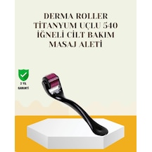 Zenvia Titanyum Dermaroller 540 İğne Cilt Onarım Ve Kolajen Üretim Desteği Znv2026