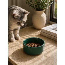 Hubrendy Sh Kase Model Beton Kedi Köpek Mama Ve Su Kabı 15cm Çap 5cm - Yeşil