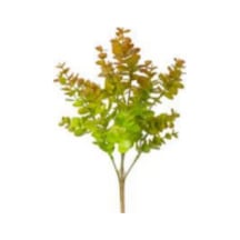 Yapay Bitki Okaliptus Kızıl-yeşil 40 Cm. Çok Renkli