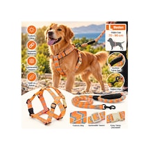 Ally Paws Köpek Göğüs Tasması Ve Gezdirme Kayışı Seti L Beden 12mm X 120cm Çok Renkli