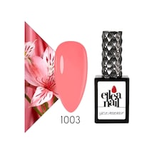 Kalıcı Oje 1003