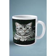 American Shorthair Kedi İsimli Kişiye Özel Baskılı Kupa Bardak Tatlı Çok Renkli