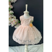 Mnk Baby & Kids Saç Bantlı Papatyalı Dantelli Bebek Elbise Pnpn146 somon