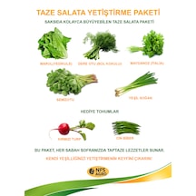 Sebze Tohumu - Taze Salata Yetiştirme Paketi 1 Adet