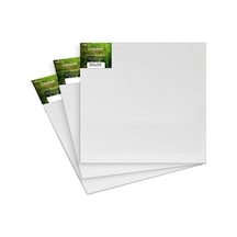 30X30 Cm, Tuval, 3 Lü, Resim Tuvali, Ahşap Çerçeve, Tual, Akrilik