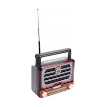 Everton Rt 313 Radyo