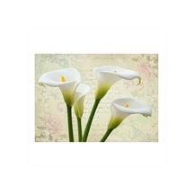 Lilyum Çiçeklerinin Zarafeti Mdf Tablo