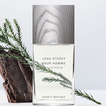 Issey Miyake Leau Dissey Erkek Parfümü Edt 125 Ml Fresh