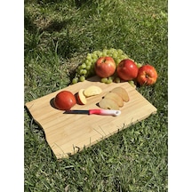 Solingen Ebruli Pembe Tırtıklı Meyve Bıçağı 18,5 Cm, Paslanmaz Alman Çeliği, Ergonomik Sap Tekli -136 Pembe