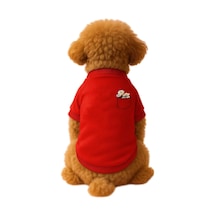 Kedi Ve Köpek Kıyafeti & Elbisesi Kırmızı Sweatshirt Papatya Cep Xl