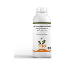 Sarı Kantaron Maserasyon Yağı Hypericum Perforatum 1 Litre