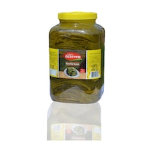 Tokat'lı Özseven Salamura Bağ Yaprağı 4750gr
